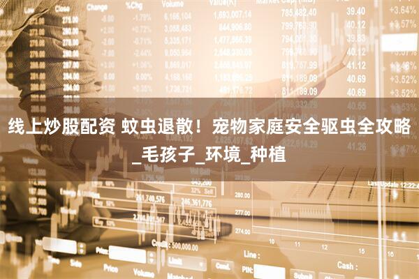 线上炒股配资 蚊虫退散！宠物家庭安全驱虫全攻略_毛孩子_环境_种植