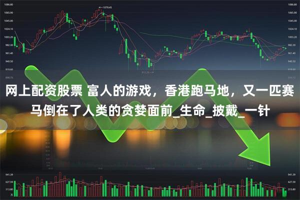 网上配资股票 富人的游戏，香港跑马地，又一匹赛马倒在了人类的贪婪面前_生命_披戴_一针