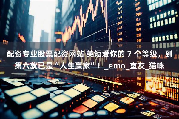 配资专业股票配资网站 英短爱你的 7 个等级，到第六就已是“人生赢家”！_emo_室友_猫咪